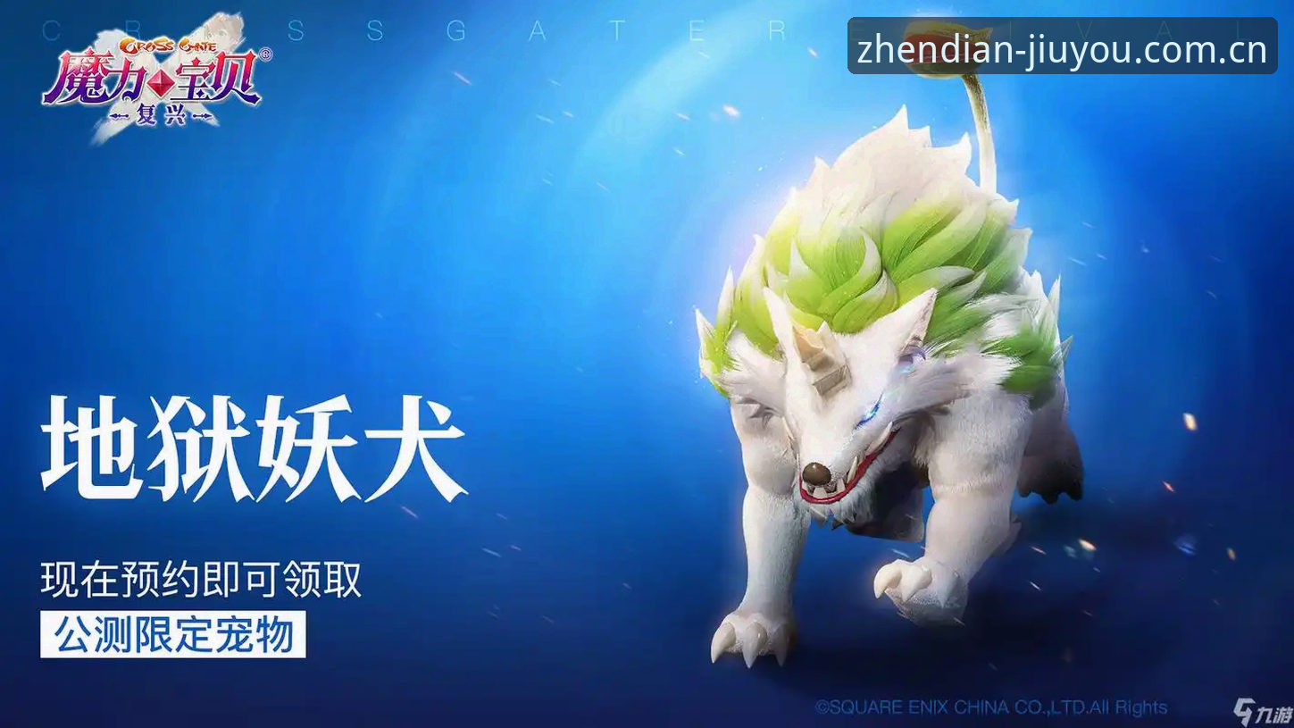 jiuyou中国网页登录推荐 九游平台网页登录实用技巧:从新手到高手的必备知识